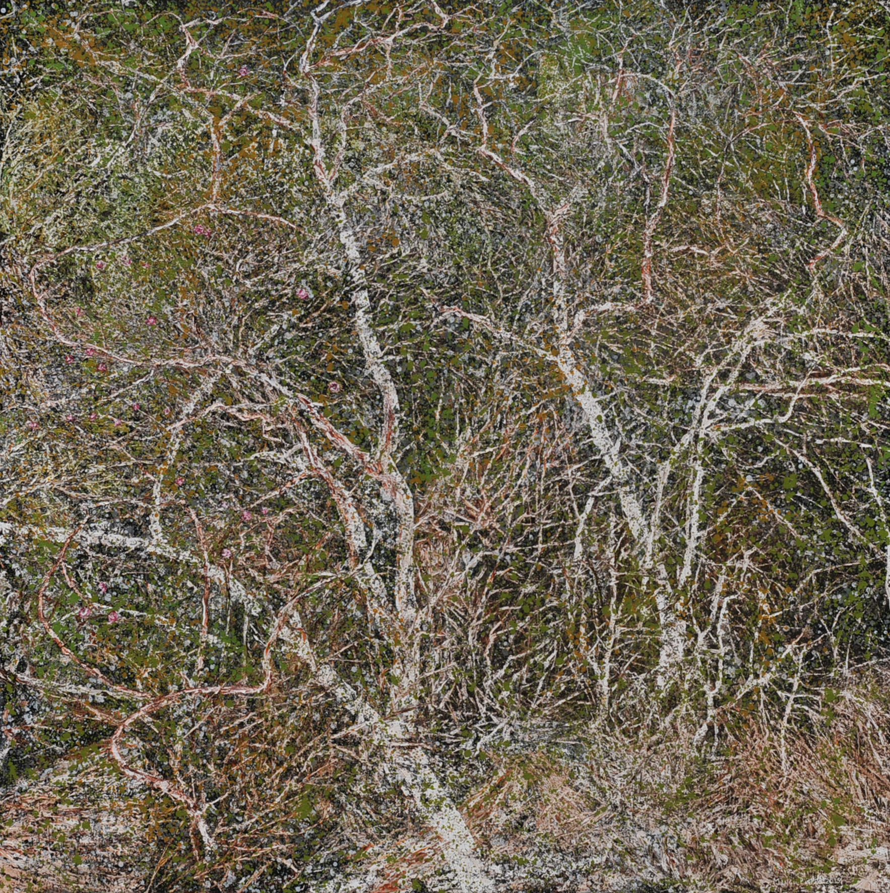 丛林中的小花, 2015, Oil on canvas, 210x210cm