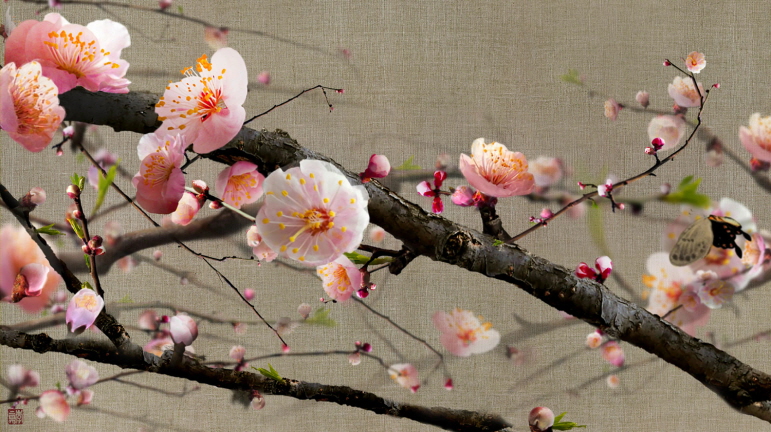 LEE Lee Nam, Blooming ume flowers on Assa cloth, 2013, Video, 55" LED TV, 8' 50"
