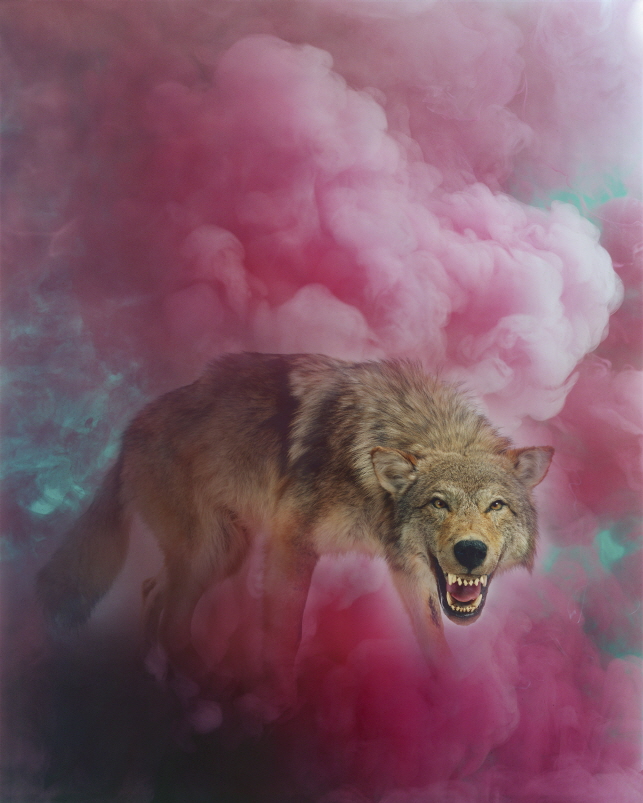 THE RED SMOKE #2, 2018, Archival Pigment Print, 183x150cm