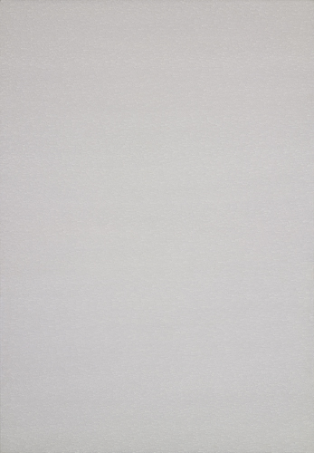 Roman OPALKA 1965/1-∞ Detail 4914800 - 4932016 Acrylic on canvas 196×135cm (Triptych)