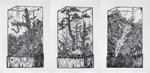 Ni Youyu(倪有鱼)   Specimen Cabinet  2011    Print on paper   105x72cm(3pcs)